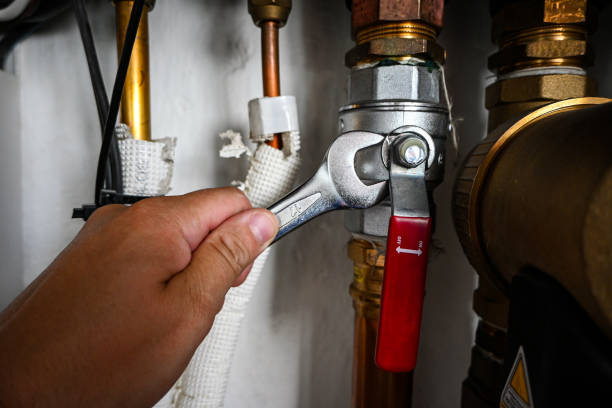 Best Drain Cleaning Services  in Hamilton City, CA
